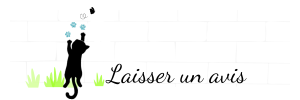 Bouton "laisser un avis" - ouvre un pop up